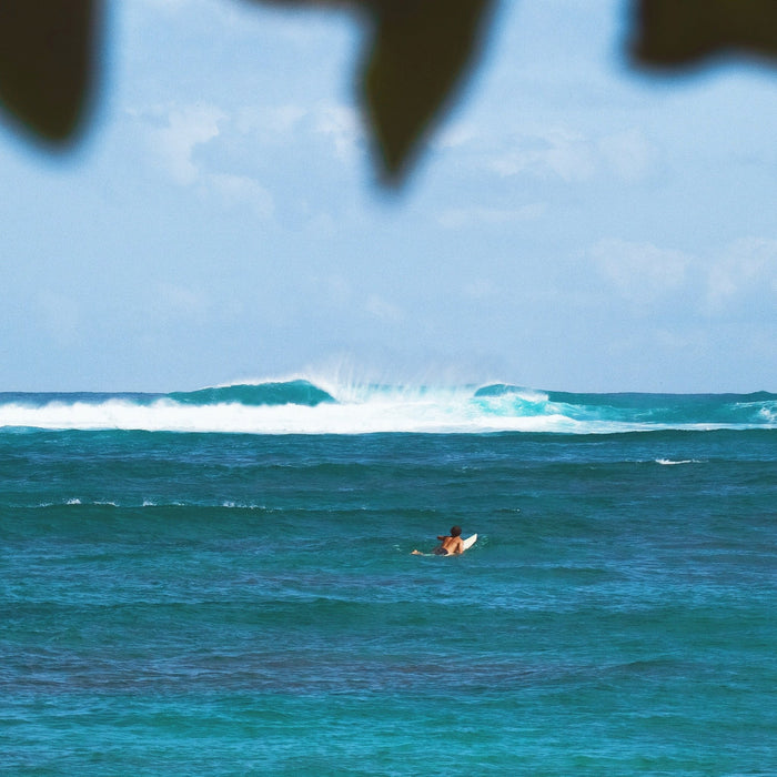 Winter Season’s Upon Us… - Surfboardbroker