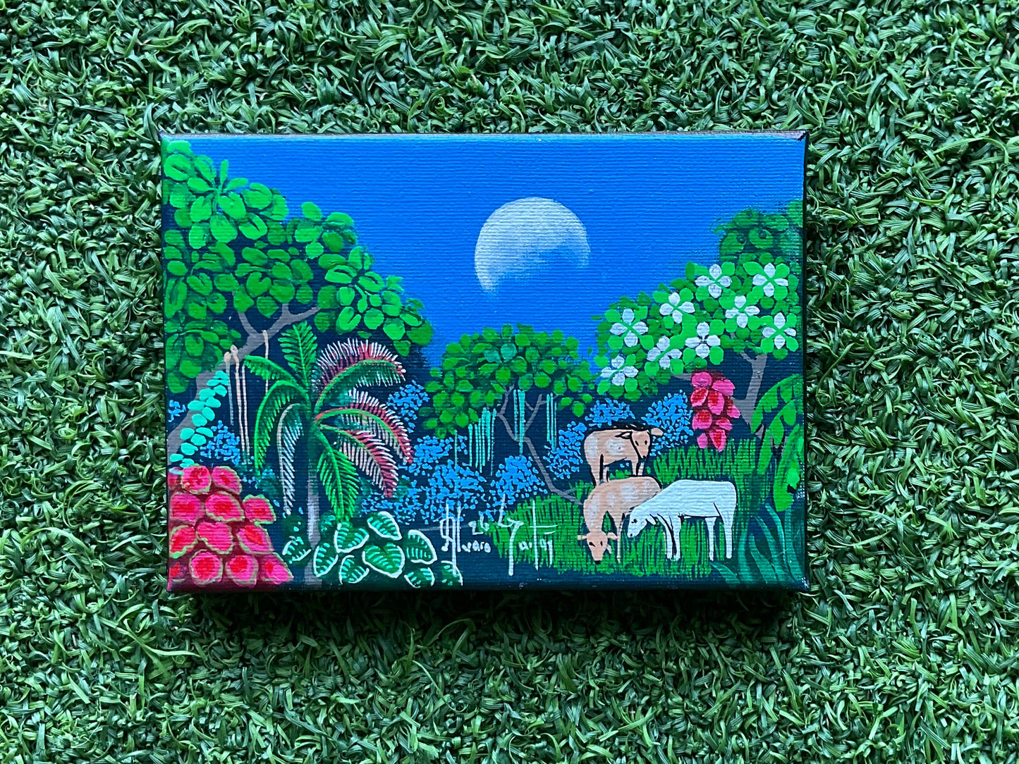 Surf Art 5”x7” “Nicaragua Jungle”