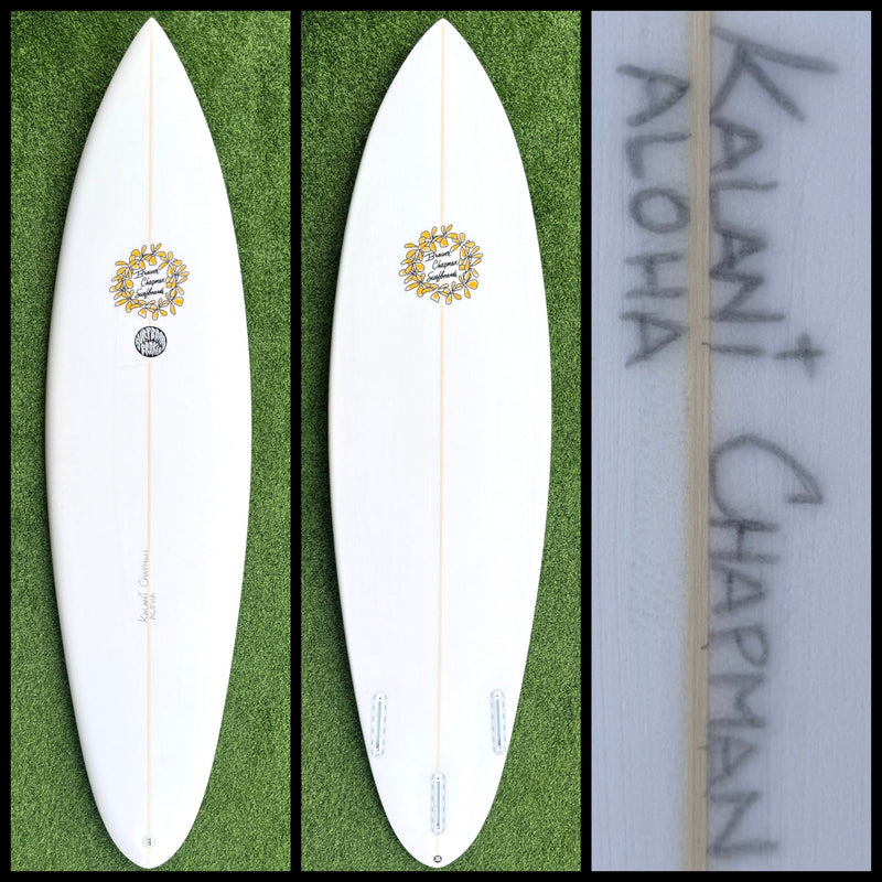 Brewer Chapman Surfboard 6'4 35L (NEW) - Surfboardbroker